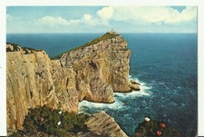 Capo caccia sardegna usato  Certaldo