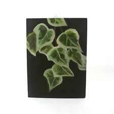 Quadro foglie dipinto usato  Lariano