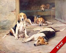 Beagle hounds dogs for sale  South Jordan