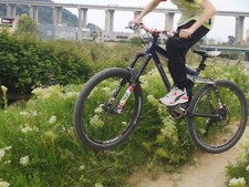 Mountain bike elswort usato  Ventimiglia