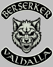 Berserker valhalla rückenaufn gebraucht kaufen  Horb am Neckar
