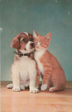 Hund katze 1968 gebraucht kaufen  Bad Reichenhall