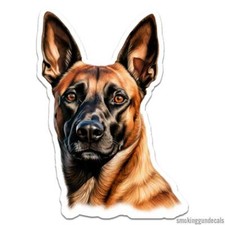 Belgian malinois vinyl d'occasion  Expédié en Belgium