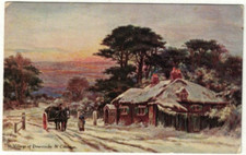 Artist drawn postcard for sale  DISS
