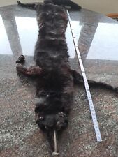 Fuchs pelz schwarz gebraucht kaufen  Simmerath