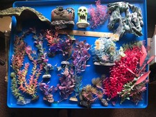 Aquarium fish tank for sale Aquarium fish tank for sale  Bardstown