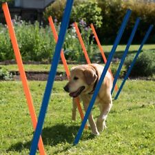 Agility dog addestramento usato  Sedriano