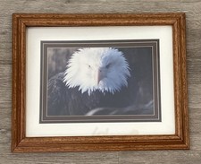 wildlife photos framed for sale  Oxnard