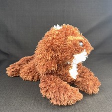 Douglas chocolate labradoodle for sale  Rogers