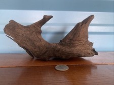 Aquarium driftwood for sale  New Braunfels