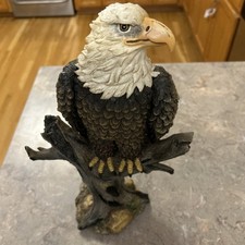 American bald eagle for sale  Warrensburg