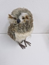 Süße eule uhu gebraucht kaufen Süße eule uhu gebraucht kaufen  Flintsbach a.Inn