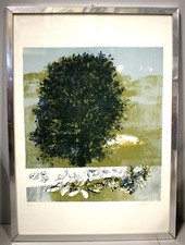Stampa multiplo 366 usato  Varallo Pombia