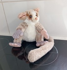 African bush baby for sale  CAERNARFON