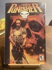The punisher marvel gebraucht kaufen  Ludwigshafen am Rhein