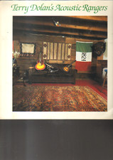 Terry dolan acoustic usato  Torino