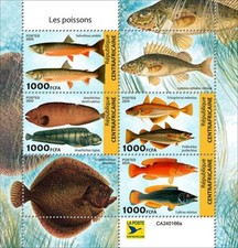 2025 central african d'occasion  Brunoy