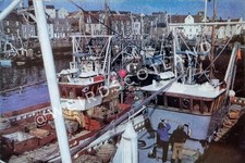 Pittenweem spring painting for sale  CUPAR