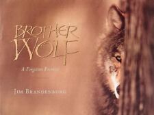 Brother wolf forgotten for sale  Camarillo