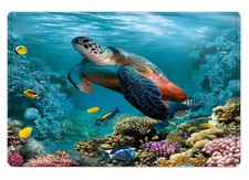 Tapete de banho subaquático azul tartaruga marinha para banheiro tapete de banho capacho 24x16", usado comprar usado Tapete de banho subaquático azul tartaruga marinha para banheiro tapete de banho capacho 24x16", usado comprar usado  Enviando para Brazil