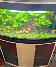Tropical fish tank for sale  BARNSLEY