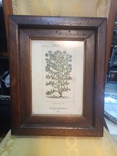 Quadro cornice legno usato  Palestrina