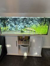 Juwel aquarium 240 gebraucht kaufen  Düsseldorf
