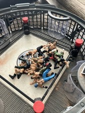 Jakks pacific wwe for sale  REDCAR