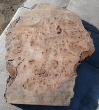 Beautiful piece elm for sale  KESWICK