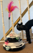 Layer fun cat for sale  OLDHAM