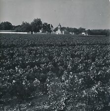 Gironde 1950 vignobles d'occasion  Ballon