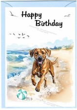 Biglietto compleanno cane usato  Spedire a Italy