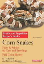 Corn snakes reptile for sale  UK