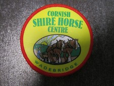 Cornish shire horse for sale  REDCAR