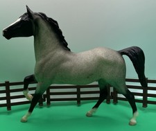 black quarter horse for sale  Newark