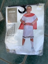 Fancy dress roman for sale  HEREFORD