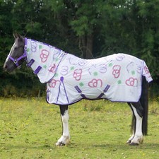 Gallop horse pony for sale  COLNE
