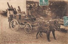 transport chien d'occasion transport chien d'occasion Expédié en Belgium