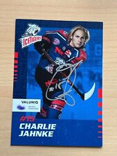 Charlie jahnke ice gebraucht kaufen  Perkam