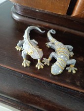 Geckos eidechse eidechsen gebraucht kaufen  Plaue, -Kirchmöser