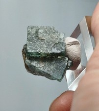 Fluorine angleterre rogerly d'occasion  Villé