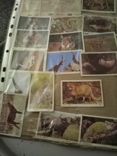 Bubblegum cards lot for sale  ILKLEY