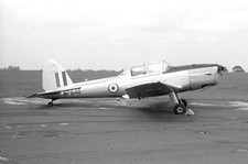 229 ocu chipmunk for sale  SPALDING
