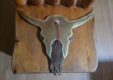 Decorative copper bulls for sale  Germfask