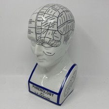 Phrenology head l.n. for sale  Hawkins
