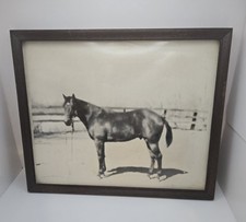 Vintage framed horse for sale  Dallas