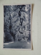 Winterparadies erzgebirge 27 gebraucht kaufen  Neu-Ulm