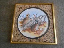 Mollie jones texas for sale  Mesquite
