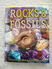 Rocks fossils geology for sale  READING