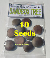 Sandbox tree seeds for sale  Los Angeles